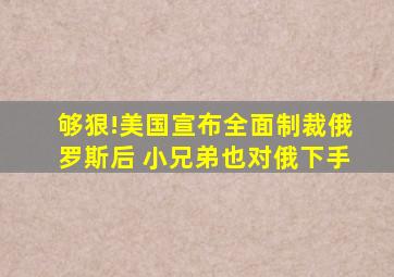 够狠!美国宣布全面制裁俄罗斯后 小兄弟也对俄下手